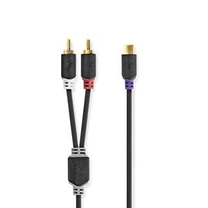 Nedis Subwooferkabel | 2x RCA male - RCA female | 0,2 m | Antraciet