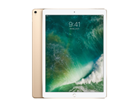 Apple iPad Pro 12.9 64GB WiFi Goud (2017) C-grade