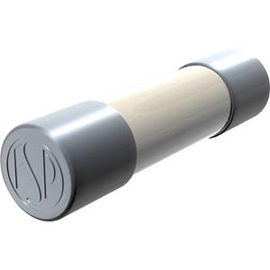 püschel FST5,0A Buiszekering (Ø x l) 5 mm x 20 mm 5 A 250 V Traag -T- Inhoud: 10 stuk(s)