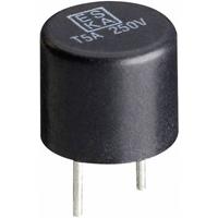 885019 Printzekering Radiaal bedraad Rond 1.6 A 250 V Snel -F- 1 stuk(s)