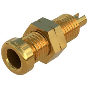 skshirschmann SKS Hirschmann BU 10 Au Laborbuchse Buchse, Einbau vertikal Stift-Ø: 4mm Gold