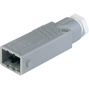 hirschmann STAS 5 Netz-Steckverbinder STAS Serie (Netzsteckverbinder) STAS Stecker, gerade Gesamtpol