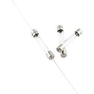ESKA 530.612 530612 Buiszekering (Ø x l) 5 mm x 30 mm 0.315 A 500 V Snel -F- Inhoud 1 stuk(s)