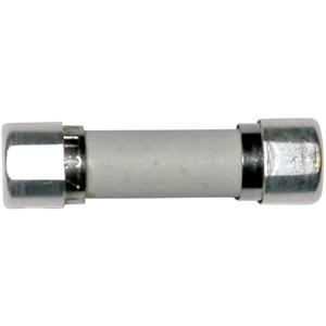 eska 8522727 Buiszekering (Ø x l) 5 mm x 20 mm 10 A 250 V Traag -T- Inhoud: 1 stuk(s)