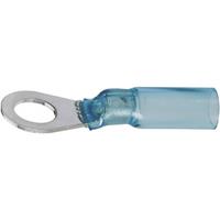 dsgcanusa DSG Canusa 7932210502 Ringkabelschuh mit Schrumpfschlauch Querschnitt (max.)=2.50mm² Loch-Ø=5mm Te