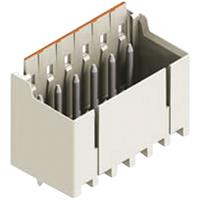 Wago Doorvoeringsklem 2091 Totaal aantal polen 12 Rastermaat: 3.50 mm 2091-1412 1 stuk(s)