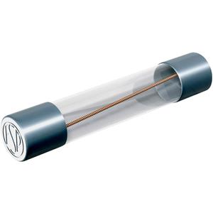 püschel FSUF20,0B Buiszekering (Ø x l) 6.3 mm x 32 mm 20 A 60 V Snel -F- Inhoud: 10 stuk(s)