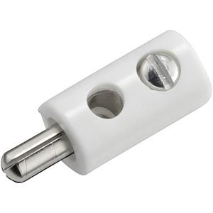 Kahlert Licht Miniatur-Bananenstecker Stecker, gerade Stift-Ø: 2.6mm Weiß