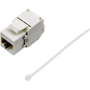 trucomponents TRU Components RJ45 Kupplung, CAT 6a Kupplung, gerade Weiß 93038C363