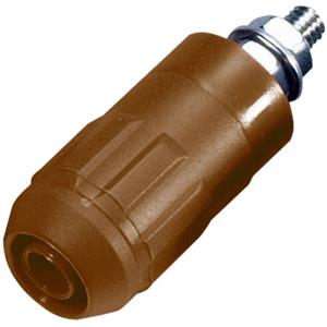 Stäubli XUB-G Laborbuchse Buchse, Einbau vertikal Stift-Ø: 4mm Braun