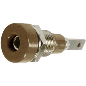 Stäubli LB-I2R Laborbuchse Buchse, Einbau vertikal Stift-Ø: 2mm Braun