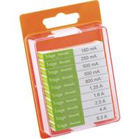 ESKA 122.850 122850 Feinsicherung-Sortiment (Ø x L) 5mm x 20mm Träge -T- Inhalt 100St.