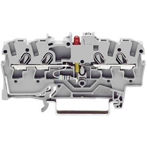 Wago 2001-1421/1000-413 LED-klem 4.20 mm Veerklem Toewijzing: L Grijs 1 stuk(s)