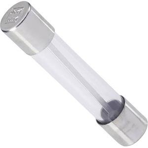 eska 140024 Buiszekering (Ø x l) 6.3 mm x 32 mm 5 A 32 V Snel -F- Inhoud: 1 stuk(s)