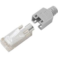 hiroseelectronic Hirose Electronic RJ45-Steckverbinder CAT5e Hirose TM11 Stecker, gerade Pole: 8P8C RJ45C5E-BL TM11 B