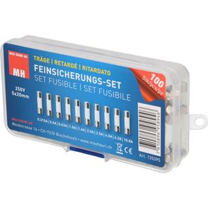 maxhauriag Max Hauri AG Buiszekering assortiment (Ø x l) 5 mm x 20 mm Traag -T- Inhoud: 100 stuk(s)