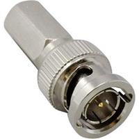 BKL Electronic BNC-Steckverbinder Stecker, gerade 75Ω 1St.