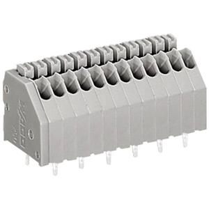 Wago 250-404 Veerkachtklemblok 0.50 mm² Aantal polen 4 Grijs 1 stuk(s)