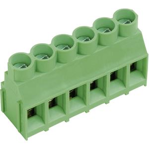 ptr AKZ840/2-6.35-V Klemschroefblok 4.00 mm² Aantal polen 2 Groen 1 stuk(s)