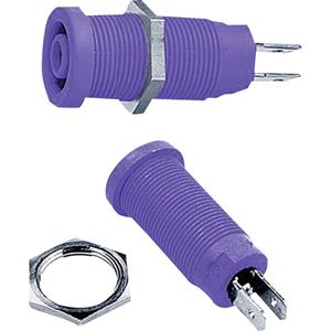 Stäubli XEB-1R Sicherheits-Laborbuchse Buchse, Einbau vertikal Stift-Ø: 4mm Violett