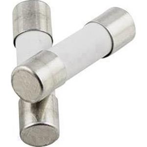 trucomponents TRU COMPONENTS TC-522707 Buiszekering (Ø x l) 5 mm x 20 mm 0.1 A 250 V Traag -T- Inhoud: 1 stuk(s)