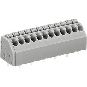 Wago 250-203 Veerkachtklemblok 1.50 mm² Aantal polen 3 Grijs 1 stuk(s)