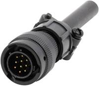 amphenol Rundstecker Stecker, gerade Serie (Rundsteckverbinder): 62IN Gesamtpolzah