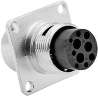 amphenol Rundstecker Stecker, gerade Serie (Rundsteckverbinder): RT360™ Gesamtpolzahl: