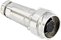 bulgin Rundsteckverbinder Kupplung, gerade Serie (Rundsteckverbinder): Buccaneer