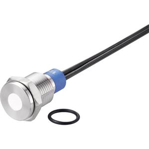 trucomponents TRU COMPONENTS LED-lamp Wit 12 V