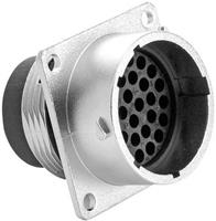 amphenol Rundstecker Stecker, gerade Serie (Rundsteckverbinder): RT360™ Gesamtpolzahl