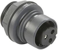 bulgin Rundstecker Stecker, Einbau Serie (Rundsteckverbinder): PXP Gesamtpolzahl: 3 1