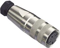 amphenol Rundstecker Kupplung, gerade Serie (Rundsteckverbinder): C091 Gesamtpolza