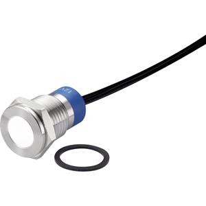 trucomponents TRU COMPONENTS LED-lamp Wit 12 V