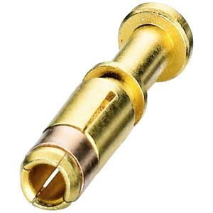 coninvers ST-20KS020 1607658 Crimpcontact voor serie P20 Goud 1 stuk(s)