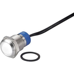 trucomponents TRU COMPONENTS LED-lamp Wit 12 V