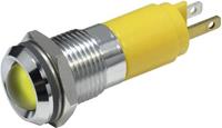 CML LED-Signalleuchte Gelb 12 V/DC 19210252
