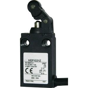 panasonic MEP1G31Z Eindschakelaar 24 V 5 A Rolhendel IP67 1 stuk(s)