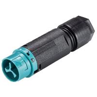 wieland Rundstecker Stecker, gerade Serie (Rundsteckverbinder): RST MINI Gesamtpolza