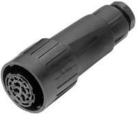 amphenol Rundstecker Kupplung, gerade Serie (Rundsteckverbinder): C016 Gesamtpolza