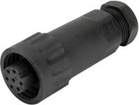 weipu Rundstecker Buchse, gerade Serie (Rundsteckverbinder): WA Gesamtpolzahl: 6 + PE 1St.
