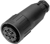 amphenol Rundstecker Kupplung, gerade Serie (Rundsteckverbinder): C016 Gesamtpolza