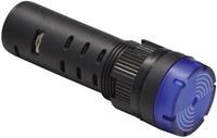 Barthelme LED-Signalleuchte Blau 12 V/DC, 12 V/AC 58931214