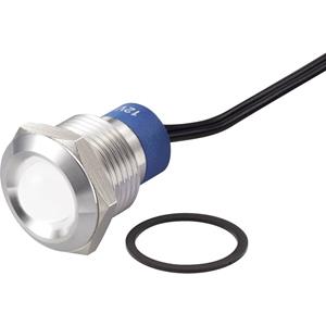 trucomponents TRU COMPONENTS LED-lamp Wit 12 V