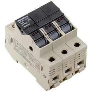 Zekering-serieklem Weidmüllerlerlerlerlerlerlerlerlerlerlerlerlerlerler WSI 25/3 10X38/LED 1444240000 Beige 4 stuk(s)