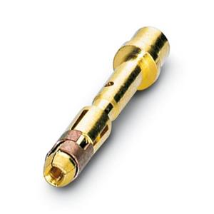 coninvers SF-6AS2000 1605557 Crimpcontact voor serie P30 Goud 1 stuk(s)