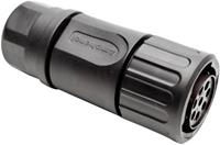 amphenol RTS 6BS 14N 8S03 Ronde stekker Koppeling, recht Serie (ronde connectors): Ecomate Aquarius Totaal aantal polen: 8 1 stuk(s)