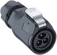 Lumberg 0251 03 Ronde connector Stekker, recht Totaal aantal polen: 3 1 stuk(s)