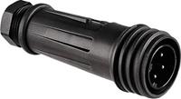bulgin Rundstecker Stecker, gerade Serie (Rundsteckverbinder): EXP Gesamtpolzahl: 4 1S