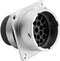 amphenol Rundstecker Stecker, gerade Serie (Rundsteckverbinder): RT360™ Gesamtpolzahl